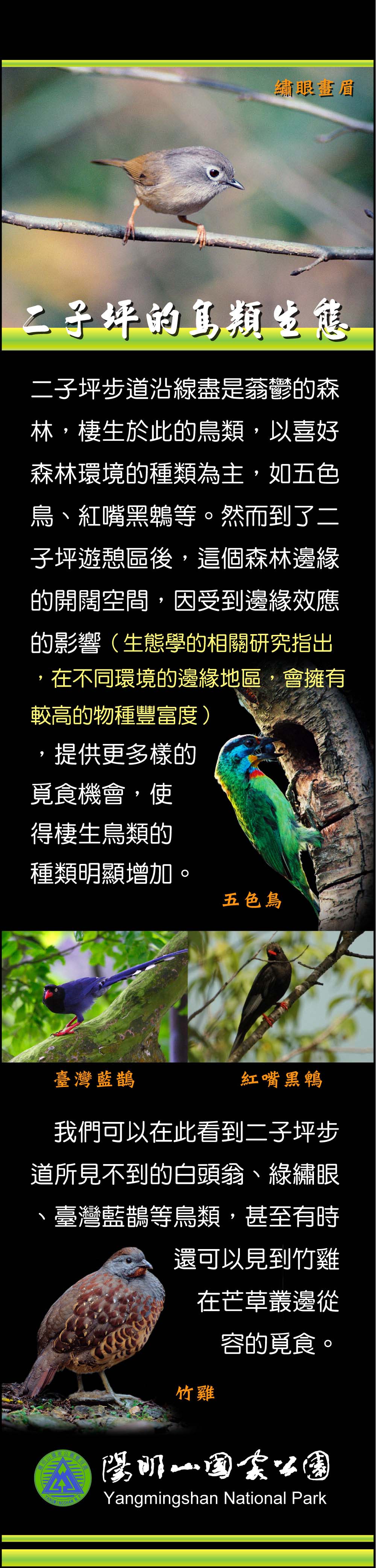 二子坪的鳥類生態