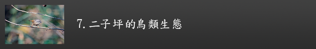 二子坪的鳥類生態示意圖