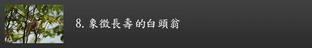 象徵長壽的白頭翁示意圖