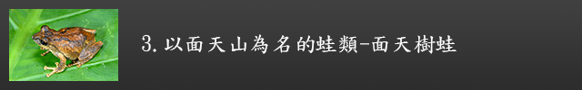 以面天山為名的蛙類-面天樹蛙示意圖