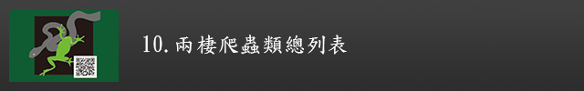 兩棲爬蟲類總列表示意圖