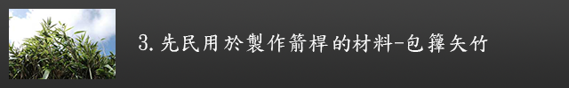 先民用於製作箭桿的材料-包籜矢竹示意圖