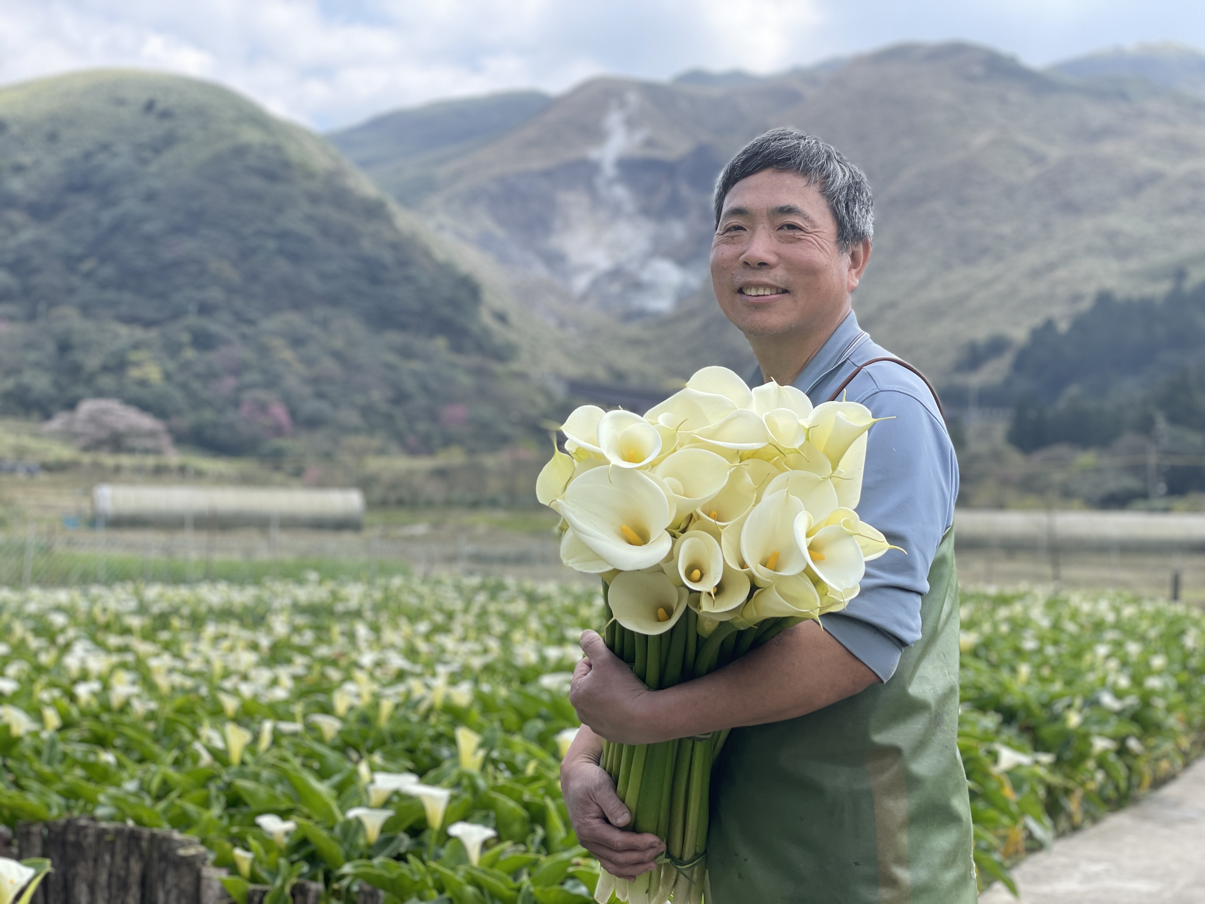 已通過綠色保育標章海芋花農