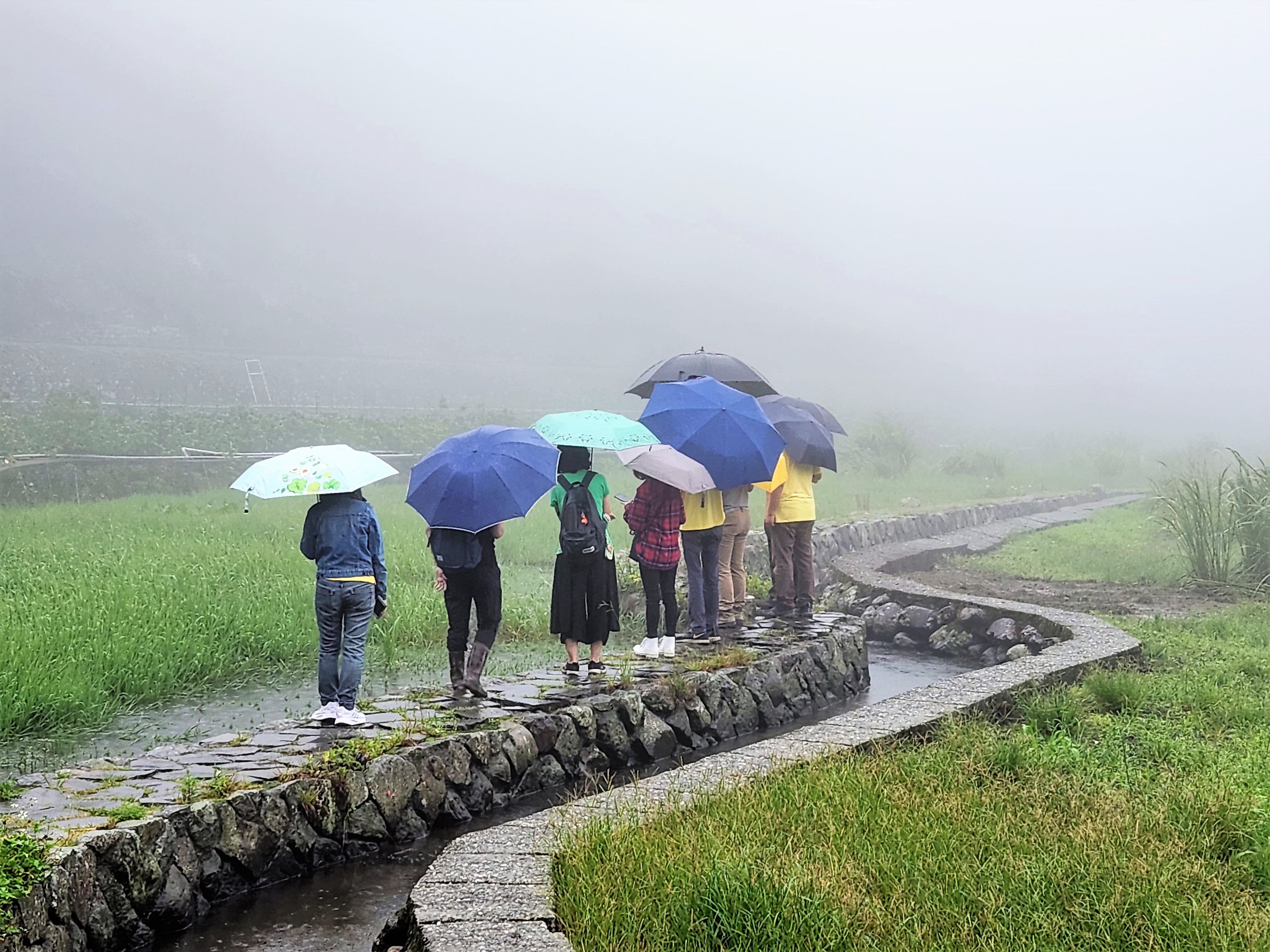 課後毛老師帶大家實際走訪蛇類常棲息的濕地